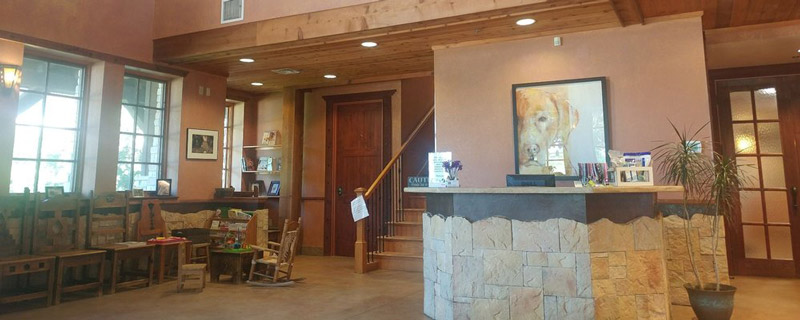 Stonebriar Vet Centre client reception area