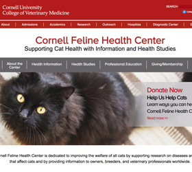 Cornell Feline Health Center