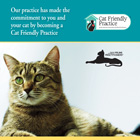 Cat Friendly Practice