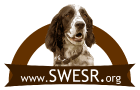 Southwest English Setter Rescue