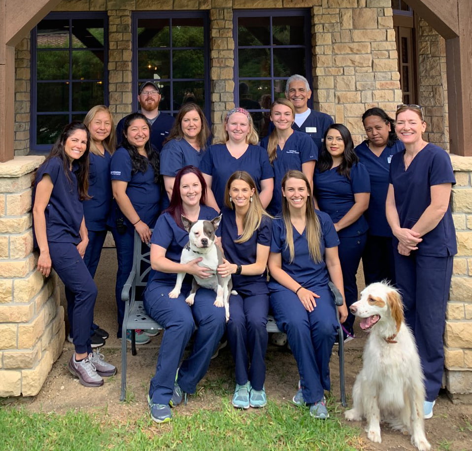 Stonebriar Vets Staff and Doctors