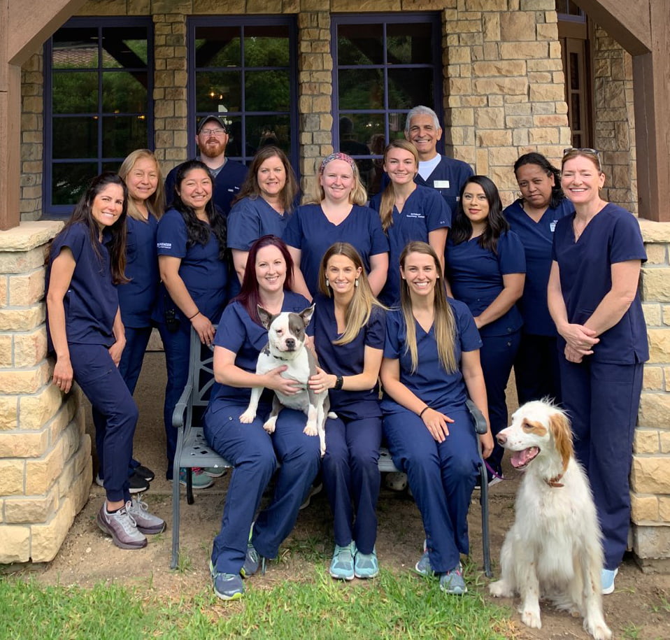 ashby animal clinic staff