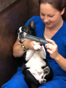 Dog in the lap for some nail care.