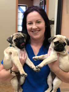 Our team holding two pugs.