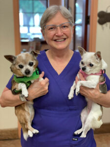 Smiling veterinary team member holding two dogs with cute vests.