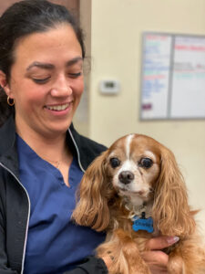 Smiling vet team member holding a dog.